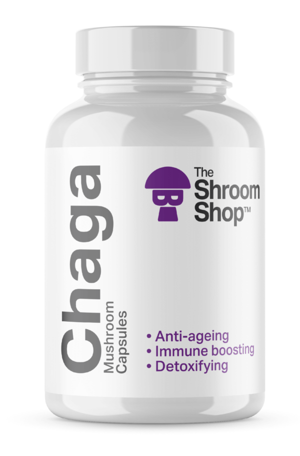 Chaga Mushroom capsules